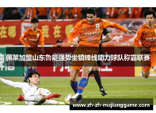 佩莱加盟山东鲁能强势坐镇锋线助力球队称霸联赛 佩莱加盟山东鲁能强势坐镇锋线助力球队称霸联赛